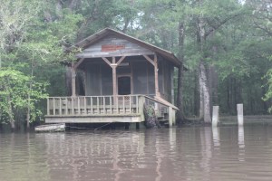 Lonesome Cypress Preserve
