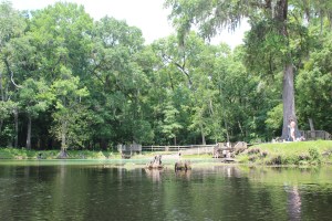 Spring at Rum Island 
